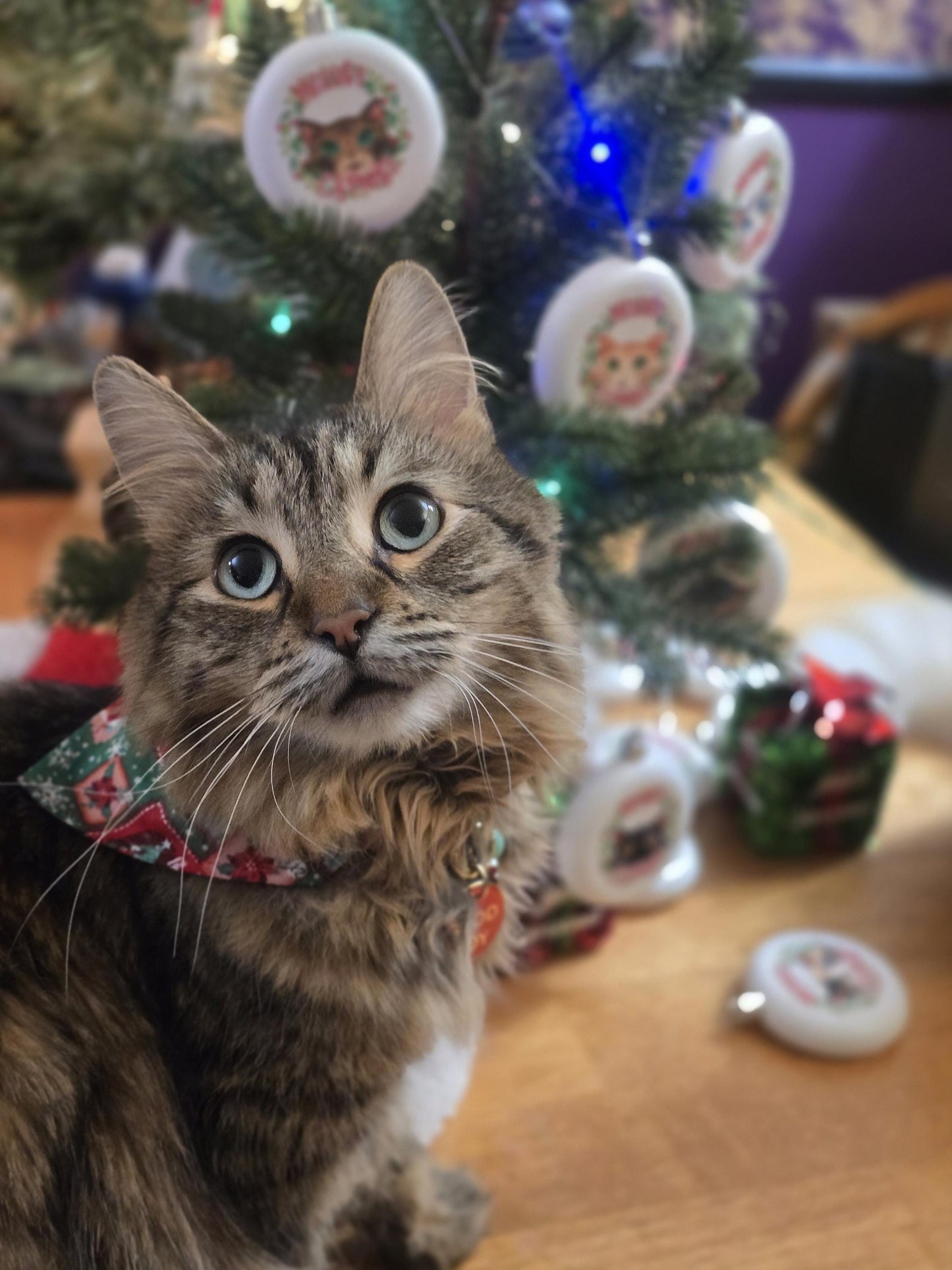 Cat Collars with Bandanas - Holiday Themed Cat Accessories -  Breakaway Cat Collar with Hand Sewn Bandana - Christmas Collar -