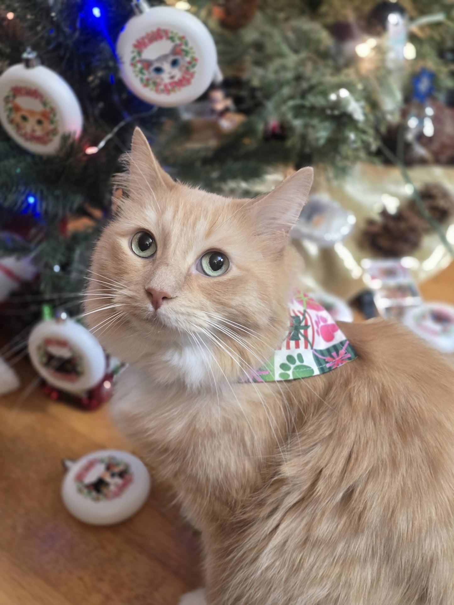 Cat Collars with Bandanas - Holiday Themed Cat Accessories -  Breakaway Cat Collar with Hand Sewn Bandana - Christmas Collar -