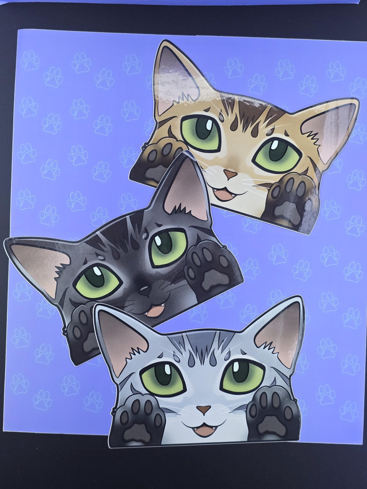 Cat-Window-Peeker Egyptian Mau Cat Peeking Sticker |Cat Face| 5.02"x3.5"