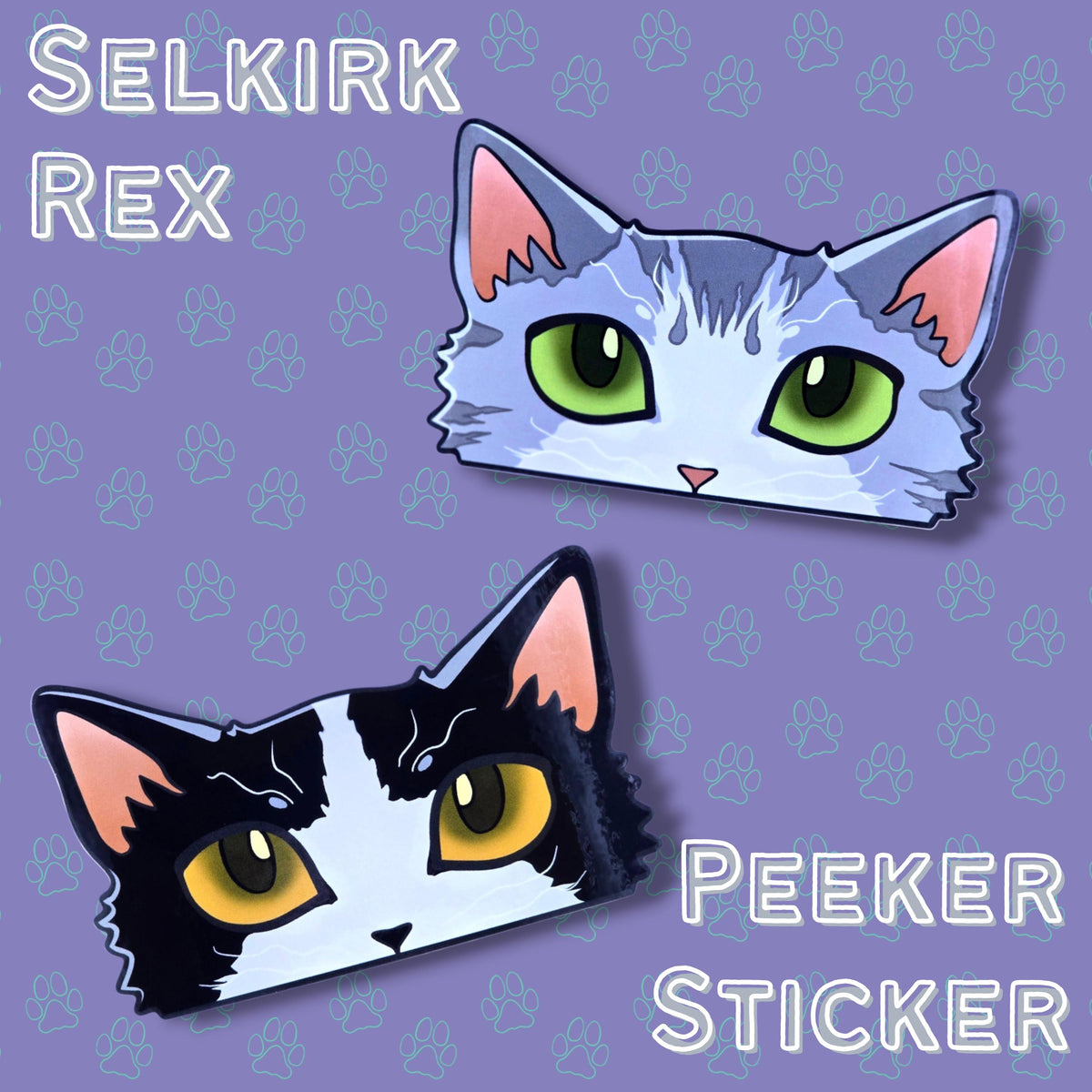 Cat-Window-Peeker Selkirk Rex Cat Peeking Sticker |Cat Face| 4.65"x2.84"