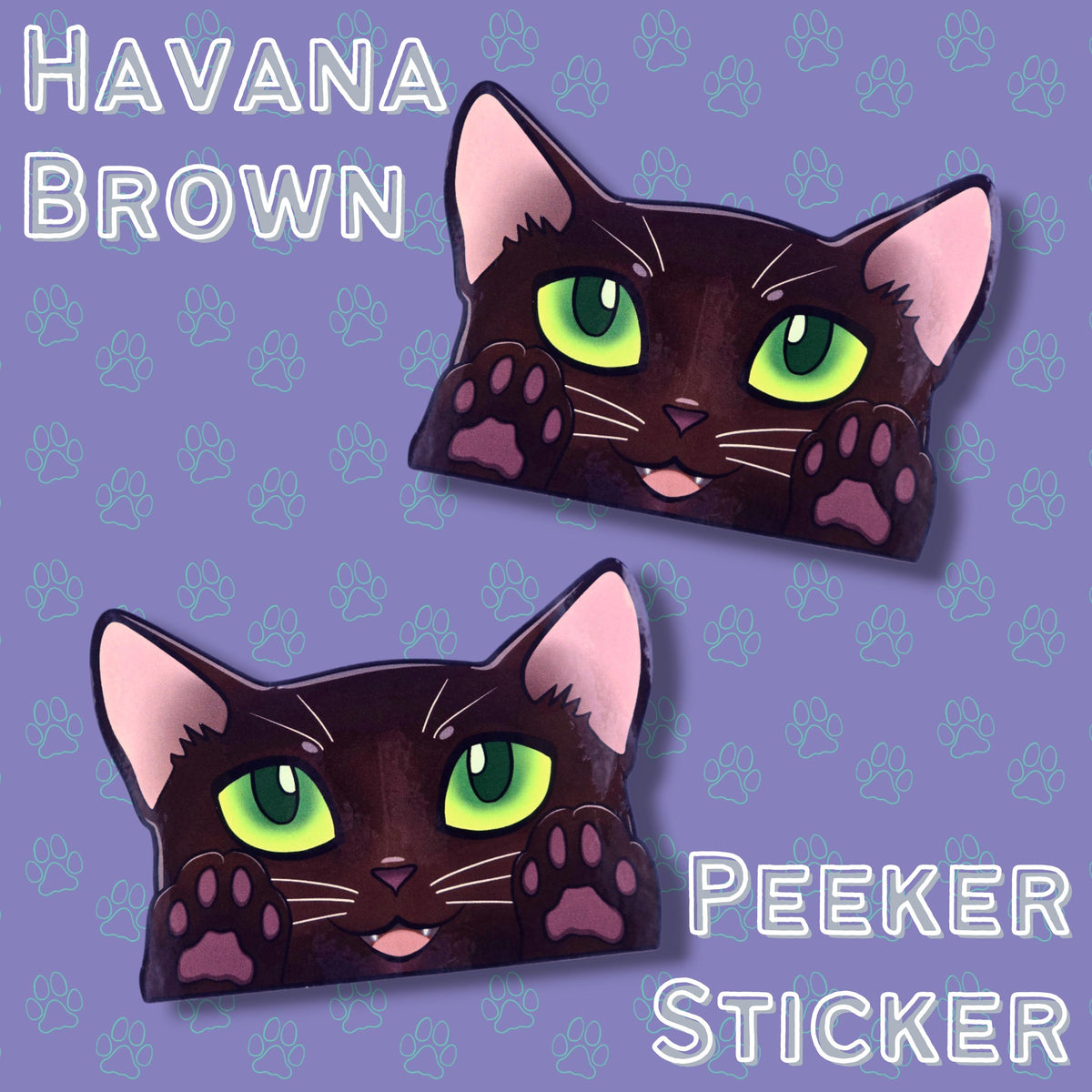 Cat-Window-Peeker Havana Brown Cat Peeking Sticker |Cat Face| 4.91"x3.5"