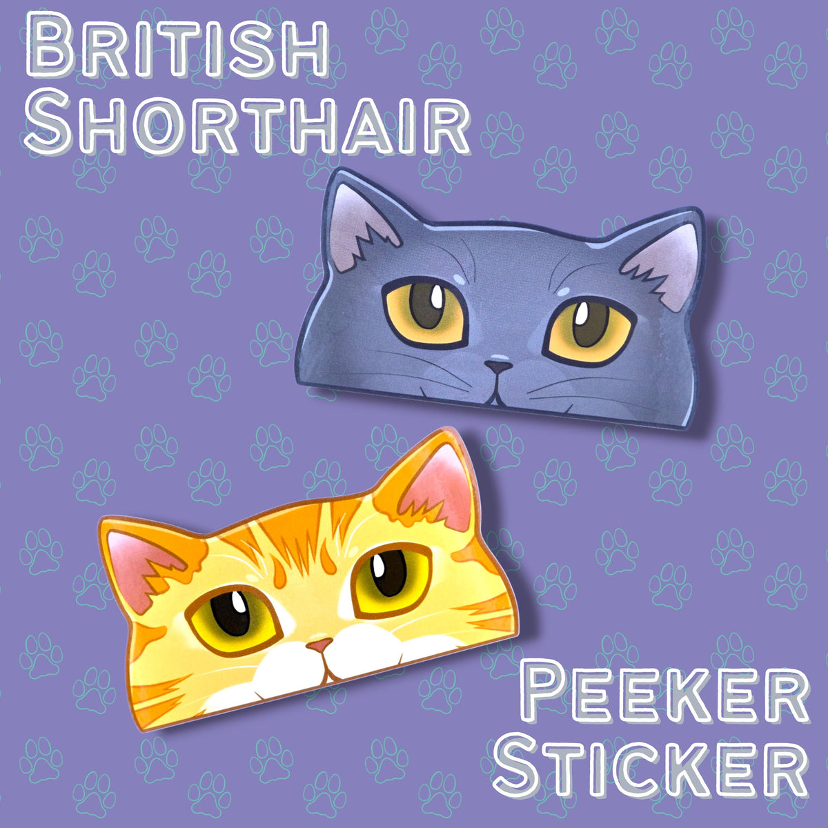 Cat-Window-Peeker British Shorthair Cat Peeking Sticker |Cat Face| 4.97"x2.77"