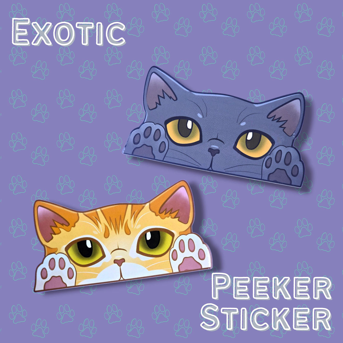 Cat-Window-Peeker Exotic Cat Peeking Sticker |Cat Face| 5.5 " x 2.81 "