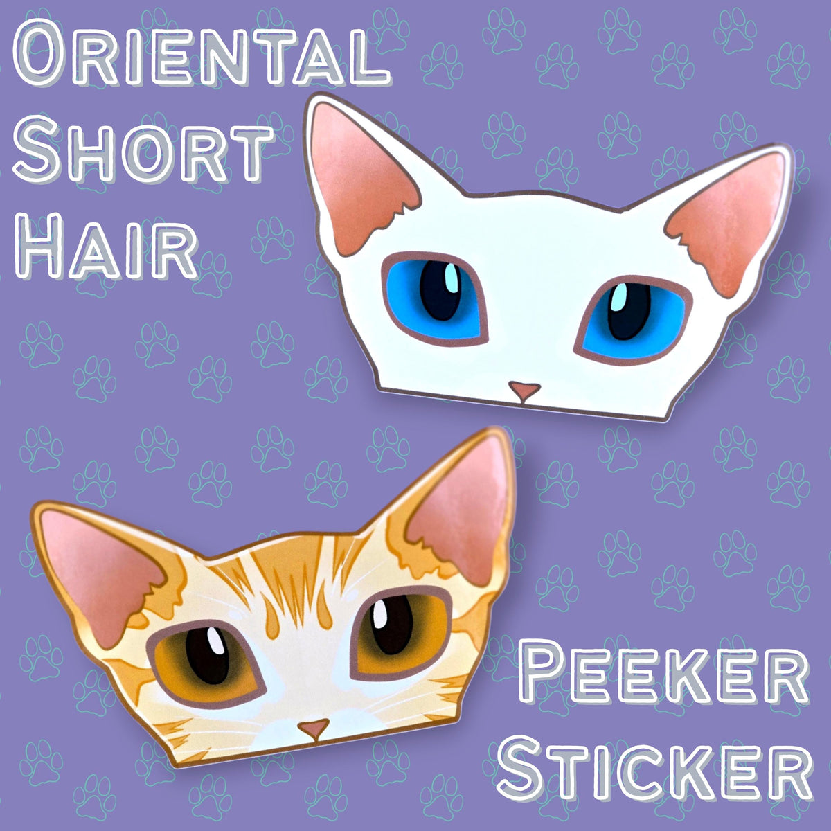 Cat-Window-Peeker Oriental Shorthair Cat Peeking Sticker |Cat Face| 4.77"x2.84"