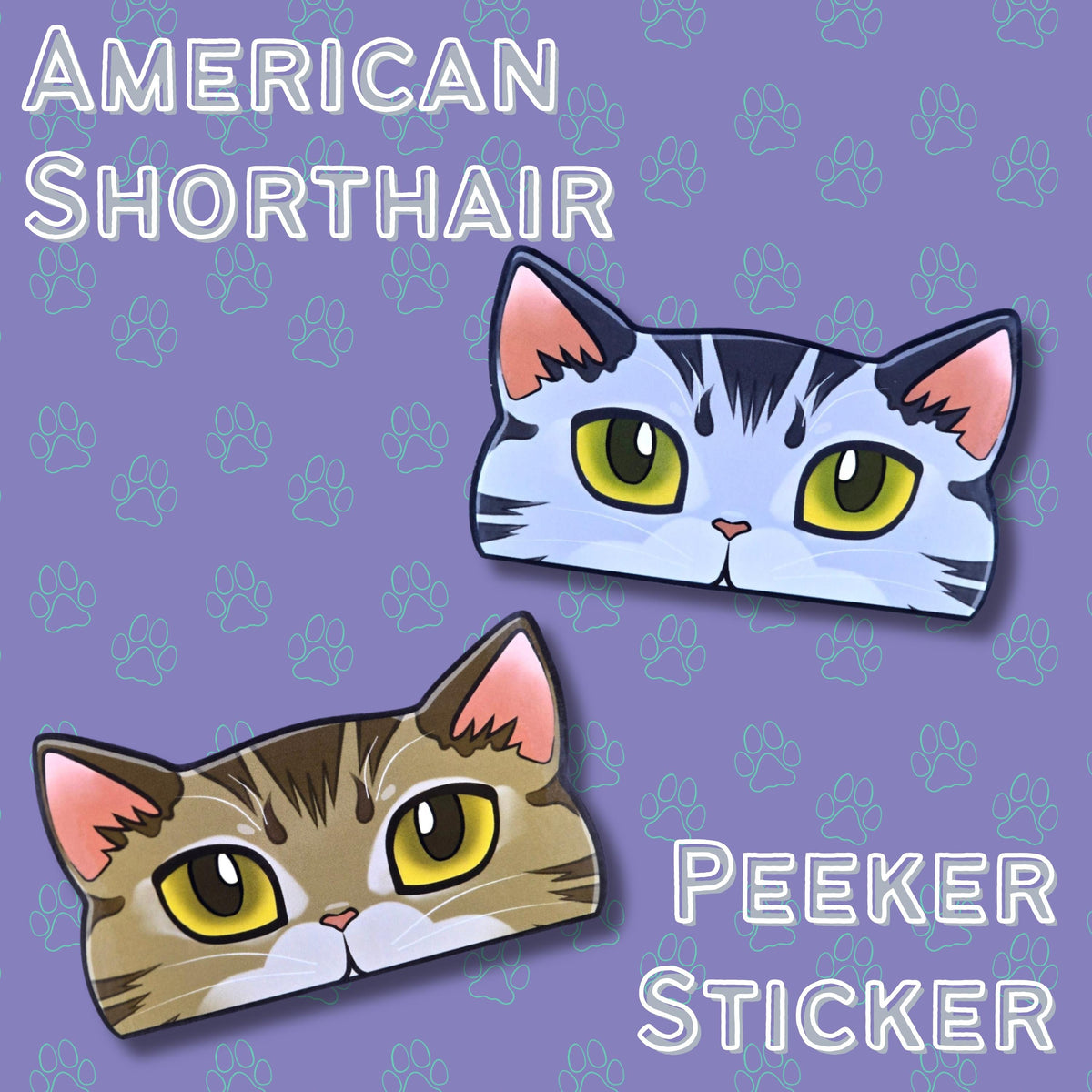 Cat-Window-Peeker American Shorthair Cat Peeking Sticker |Cat Face| 4.69"x2.79"