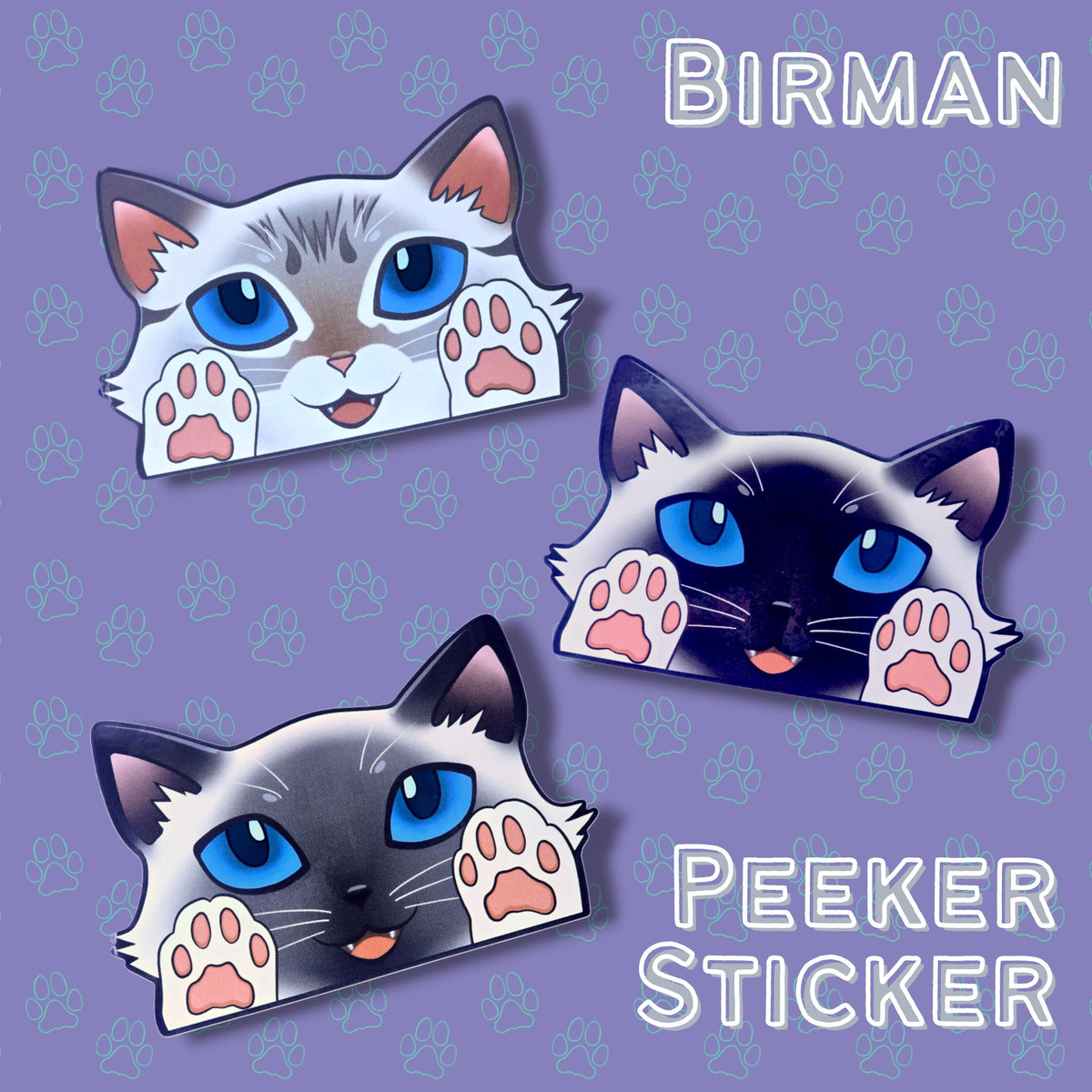 Cat-Window-Peeker Birman Cat Peeking Sticker |Cat Face| 5.46"x3.5"