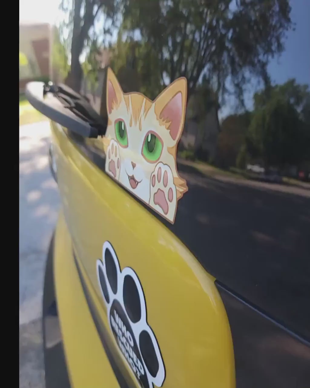 Cat-Window-Peeker Cat Peeking Sticker |Cat Face Sticker| Calico-Tortoiseshell 5.5"x2.84"