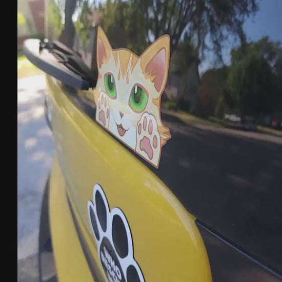 Cat-Window-Peeker Cat Peeking Sticker |Cat Face and Paws| Calico-Tortoiseshell 5.5"x3.5"