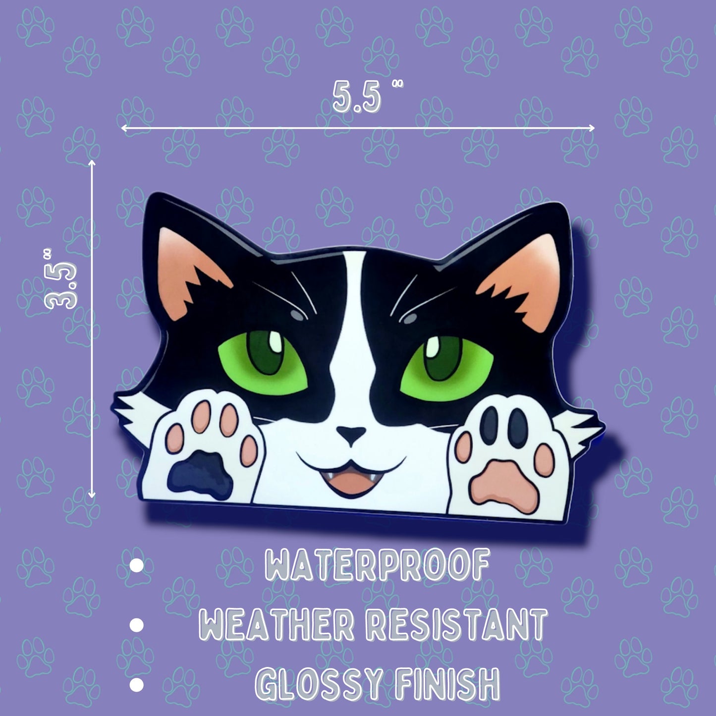 Cat-Window-Peeker Cat Peeking Sticker |Cat Face and Paws| Black and White-Silver and White-Orange and White Point 5.5"x3.5"